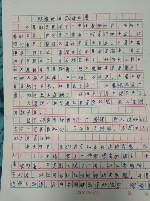 关于“大象与花猫”的思考