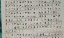 《大象和花猫》读后感