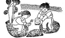 二年级看图写话可爱的动物