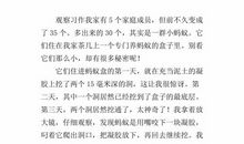 我变成了蚂蚁想象作文