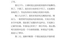 关于雪景的作文500字