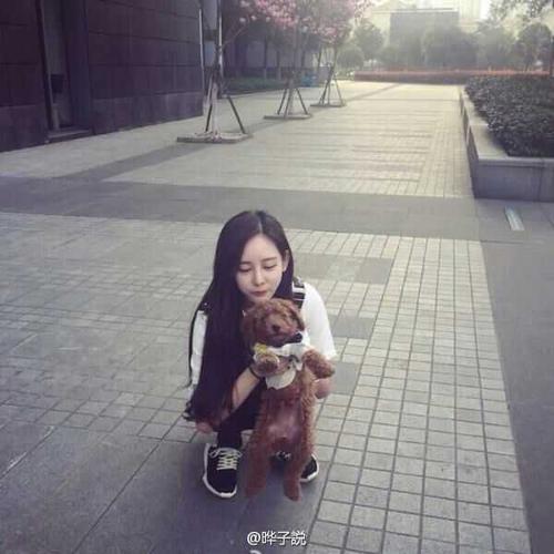 稳定的爱