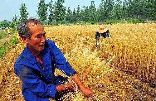 我学会珍惜劳动成果