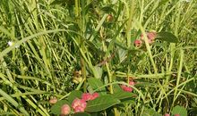 藏在内心深处的记忆