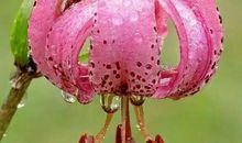 人生因你而快乐