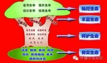 活出生命的价值