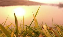 我家乡的四季经历