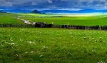 我为老妈分忧愁