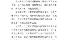 三年级传统节日的作文350字