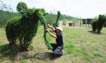游苏州上方山森林动物世界