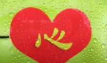 将感恩进行到底