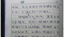 昆虫记读后感500字