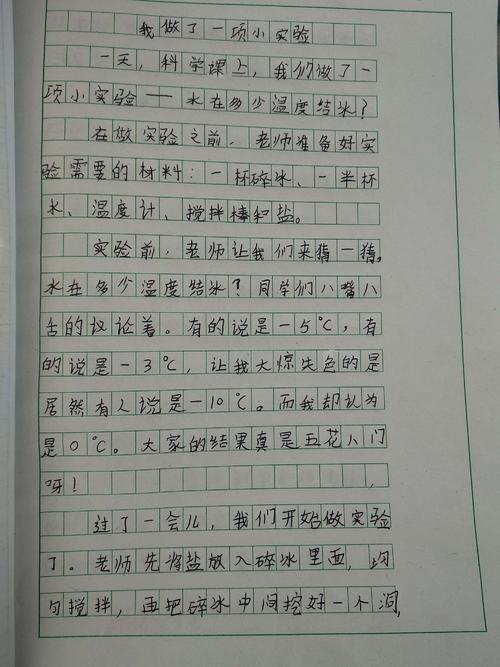 在三年级的时候，我做了一个300字的小实验