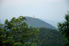 东台山的风景