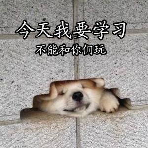 我的学习日