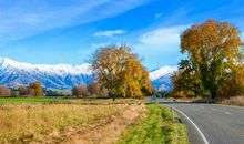 秋天的早晨最美