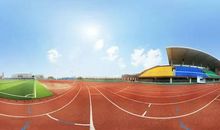 且看悲歌成凯旋