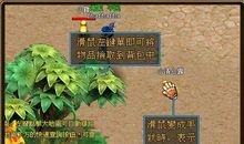 在书中拾取快乐