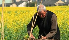 严寒的冬日里的温暖