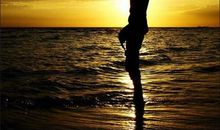 家庭给予我温暖