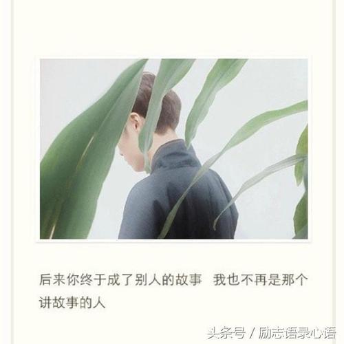 成长的教s