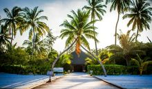 幸福是快乐的别名