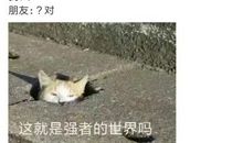 友情快乐的源泉