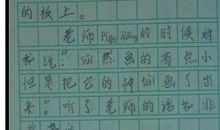 我想养的小宠物二年级作文