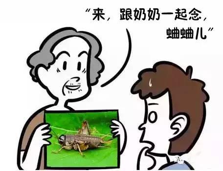 我崇拜我爷爷