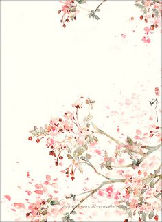 花开的时候