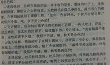 从____到____作文600字