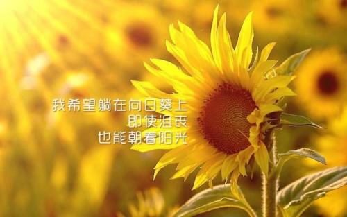 我的希望
