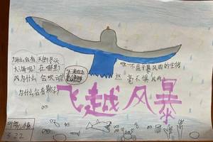 飞过风暴