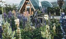 将奋斗进行到底