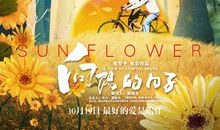 有明月陪伴的日子