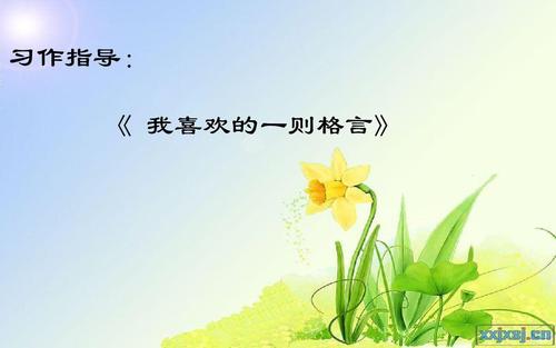 我喜欢300字的格言作文