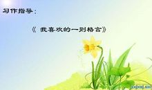 我喜欢的一则格言作文300字