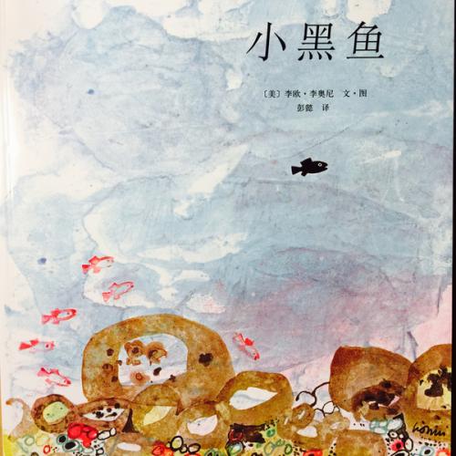 小黑鱼