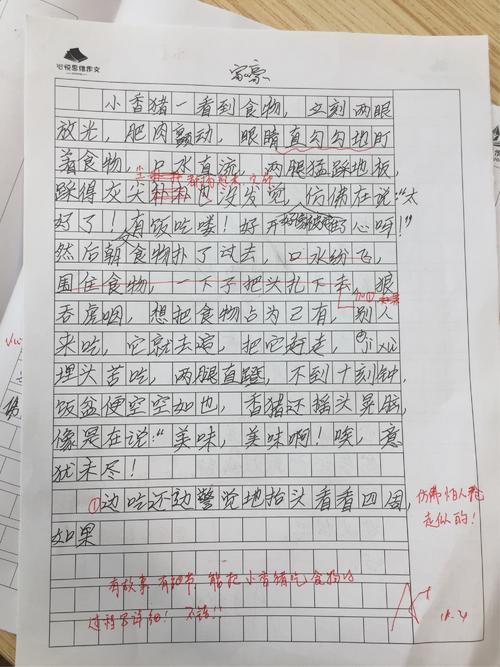 我的动物组成