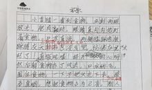 我和动物的作文