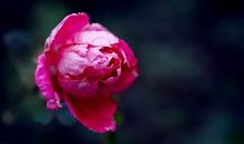 时光静好阅读最美