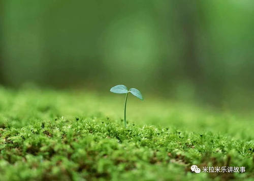 它给我力量