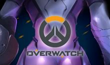 我是一片守望的叶