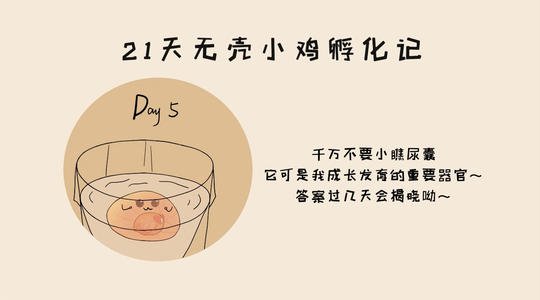 孵化