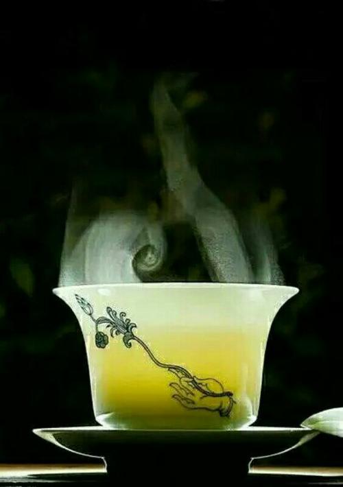 强风吹雨