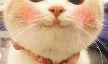 这件事，使我感悟良多