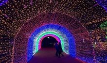 同过“齐心桥”