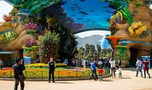 游香港海洋乐园