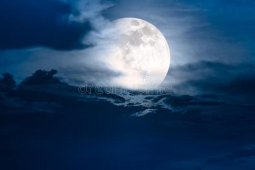 美妙的夜晚