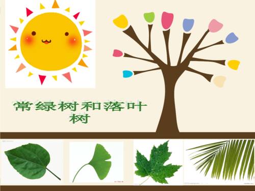 树木与落叶之间的对话